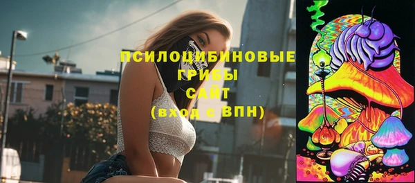 2c-b Кодинск