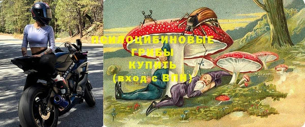 2c-b Кодинск
